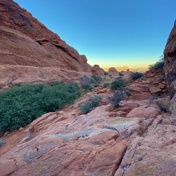 Hello All! - Picture 2 of 2